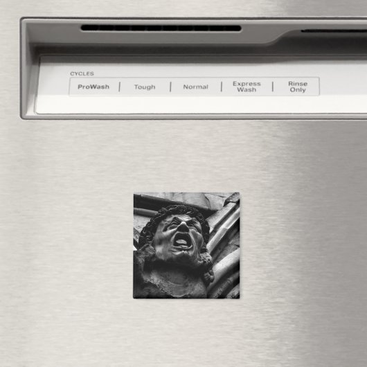 噛みつくようなインプスのゴシックガーゴイルの苦悩 マグネット (インサイチュ (食洗機))