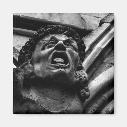 噛みつくようなインプスのゴシックガーゴイルの苦悩 マグネット (正面)