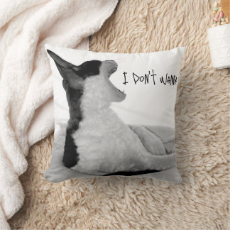 噛み切った靴…嫌だ。 クッション