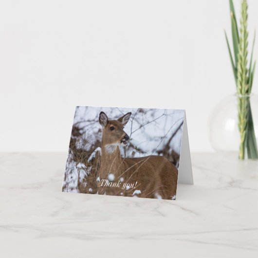 噛み易いサンキューカード サンキューカード (正面)