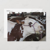 噛み牛 ポストカード (正面/裏面)