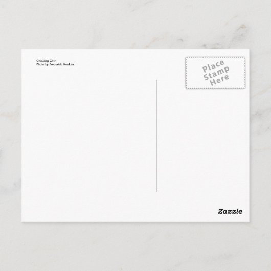 噛み牛 ポストカード (裏面)