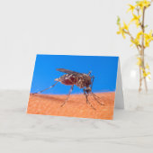 噛み蚊の写真引用文老齢誕生日 カード (黄色い花)