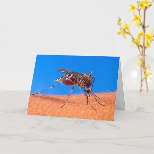 噛み蚊の写真引用文老齢誕生日 カード (黄色い花)