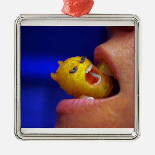 噛み込むタータートット メタルオーナメント (正面)