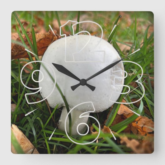 噛んだキノコ スクエア壁時計 (正面)