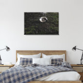 噛んだ草の上に座ってドログビーの泥だらけのボール キャンバスプリント (インサイチュ (寝室))