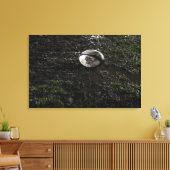 噛んだ草の上に座ってドログビーの泥だらけのボール キャンバスプリント (インサイチュ (リビング))