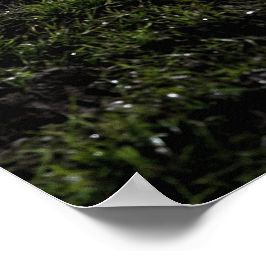 噛んだ草の上に座ってドログビーの泥だらけのボール ポスター (角)