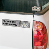 噛んではダメ、運転もダメ バンパーステッカー (トラック上)