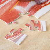 器官が付いている人間の胴の体モデル ジグソーパズル (側面)