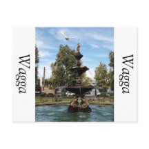 噴水からの飛んでいる鳥の捕獲