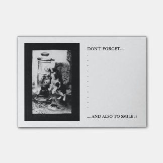 噴水で新たになっている猫 ポストイット