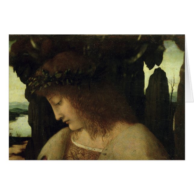 噴水のスイセン (正面横)