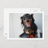 噴水のダクシュント ポストカード (正面/裏面)