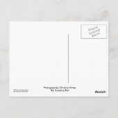 噴水のダクシュント ポストカード (裏面)