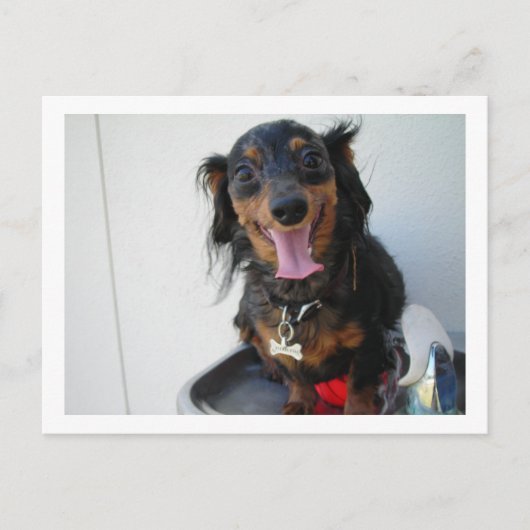 噴水のダクシュント ポストカード (正面)