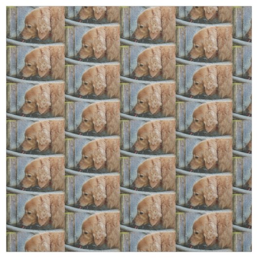 噴水の飲んでいるゴールデン・リトリーバー背部から ファブリック (見本)