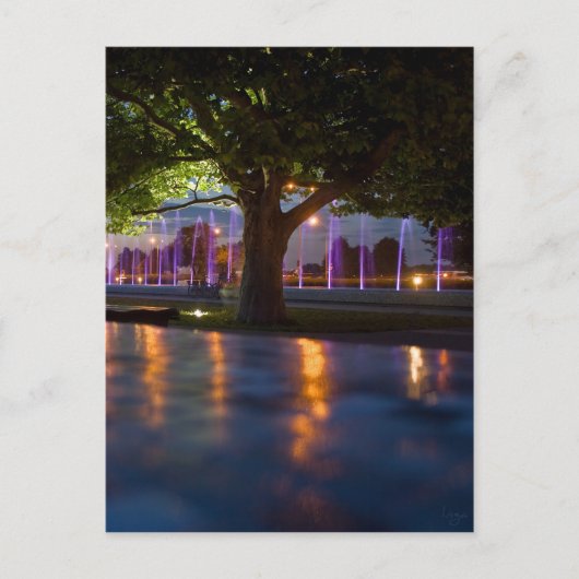 噴水ショー – 夜のワルシャワ ポストカード (正面)