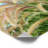 噴水草 ポスター (角)