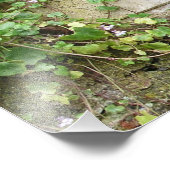 噴水 フォトプリント            (角)