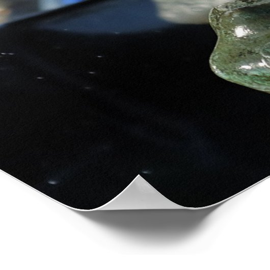 噴水 ポスター (角)