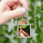 嚢状葉植物のクローズアップ キーホルダー (手)