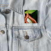 嚢状葉植物のクローズアップ 缶バッジ (インサイチュ)