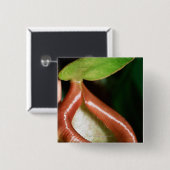 嚢状葉植物のクローズアップ 缶バッジ (正面&裏面)