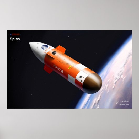 嚢胞 ポスター (正面)