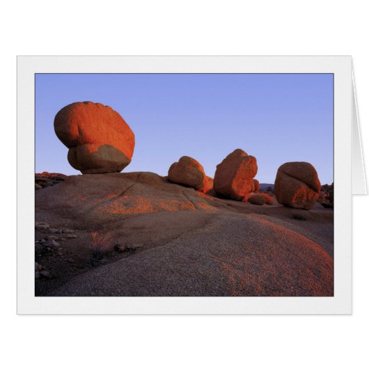 「四つの印」 (正面横)