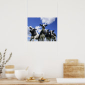 四つの子牛の虫の目ビュー ポスター (キッチン)