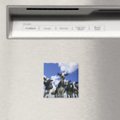 四つの子牛の虫の目ビュー マグネット (インサイチュ (食洗機))