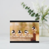 四つの小さな《鳥》アメリカゴガラ ポストカード (スタンド正面)