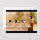 四つの小さな《鳥》アメリカゴガラ ポストカード (正面/裏面)