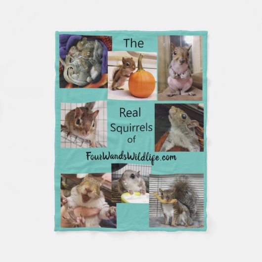 四つ実在の野生動物のリス フリースブランケット (正面)