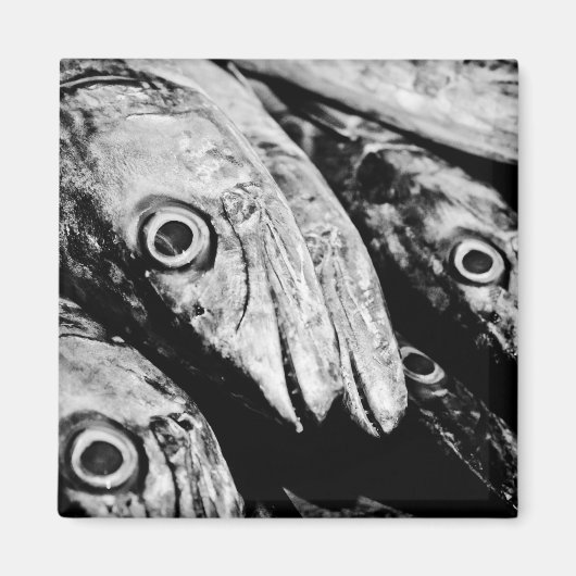四つ眼 マグネット (正面)