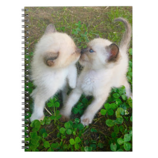 四つ葉のクローバーでキスする子猫 ノートブック