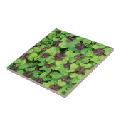 四つ葉のクローバー、ソレル、露のパッチ タイル (側面)