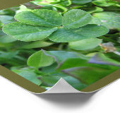 四つ葉のクローバー ポスター (角)