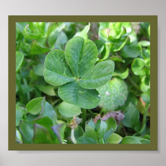 四つ葉のクローバー ポスター (正面)