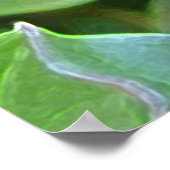 四つ葉クローバー ポスター (角)