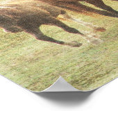 四ウマ科の ポスター (角)