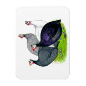 四ギニー マグネット (縦)