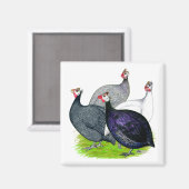 四ギニー マグネット (正面/裏面)