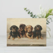 四ダックスシャンドパピー | カール・ライチェルト (スタンド正面)