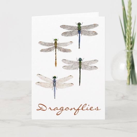 四トンボ種 カード (正面)