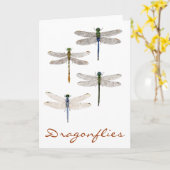 四トンボ種 カード (黄色い花)