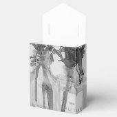 四ボトル白花 フェイバーボックス (オープン)