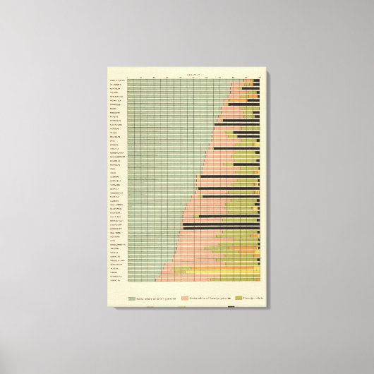 四三州1900の成分 キャンバスプリント (正面)